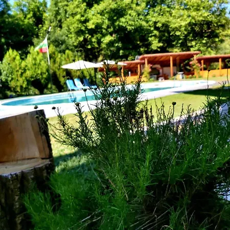 Guest house Aleksandrina Kipilovo