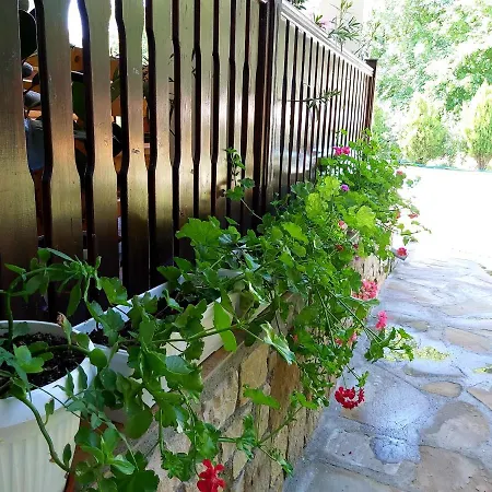 Guest house Aleksandrina 3*