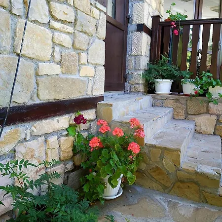 Πανσιόν Aleksandrina